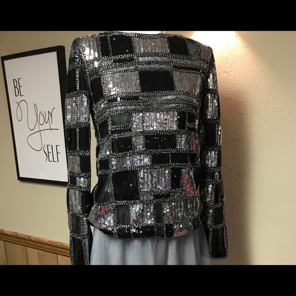 Beautiful Blocked Shimmer Top/ Rear Zipper.